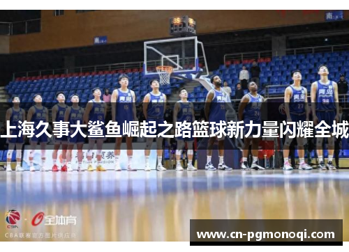 上海久事大鲨鱼崛起之路篮球新力量闪耀全城