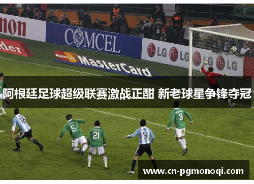 阿根廷足球超级联赛激战正酣 新老球星争锋夺冠